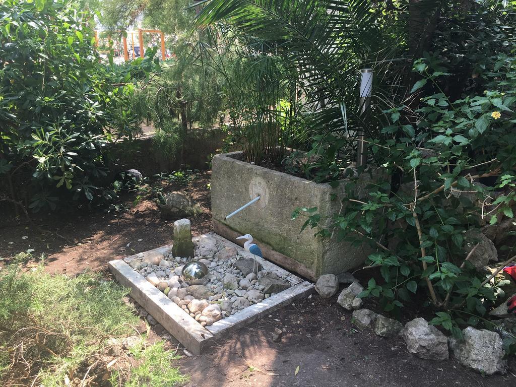 Guesthouse Villa Colenda Đảo Korčula Ngoại thất bức ảnh